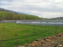 тепличный сервис Ханаан агро в Уссурийске