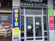 Рыба / Морепродукты Компания по продаже живых осетров в Брянске
