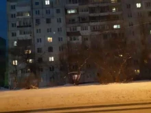 Служба доставки контактных линз и растворов, Октябрьский проспект, 58 