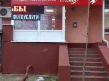 Проведение праздников Вилли кот в Брянске