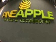 специализированный сервисный центр Pineapple в Красноярске