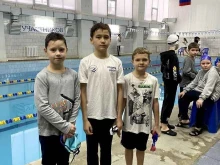 школа плавания Дельфин в Владимире