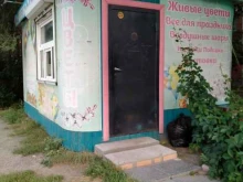 Услуги по упаковке подарков Цветочный магазин в Новосибирске