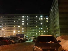 ветеринарная клиника Пушистая в Ижевске