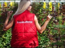 салон осинских роз Freskarosa в Перми