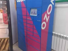 Пункт выдачи заказов Ozon box в Тольятти