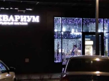 магазин рыбной продукции Аквариум в Астрахани