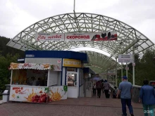 Магазин фитопродукции и сувениров, Славского, 33 