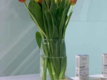 Dpsp studio, Торжковская, 5 