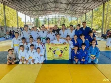 Спортивные секции Федерация дзюдо и самбо в Невинномысске