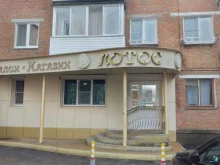 Лотос, Спортивная, 1а 