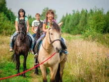 конное хозяйство Ямской двор в Ярославле