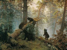 Санкт-Петербургский союз дизайнеров, набережная реки Мойки, 8 