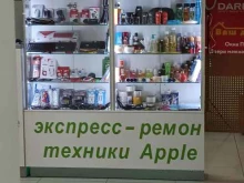 Ремонт мобильных телефонов iservice в Екатеринбурге