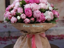 оптово-розничная компания по продаже цветов Роза-мимоза в Брянске