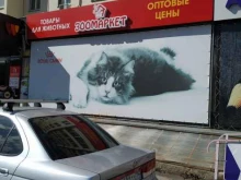 Зоотовары Зоомаркет в Копейске