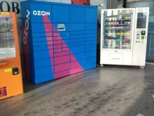 Ozon box, Алебашевская, 19 
