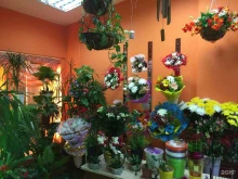 салон цветов Райский уголок в Иркутске