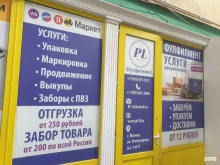 компания Panin Logic в Москве