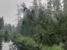 туристическая база Кэнкэмэ в Якутске