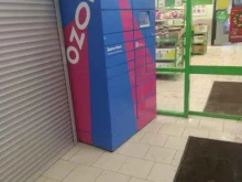 автоматизированный пункт выдачи Ozon box в Балашихе