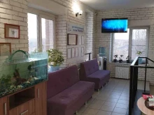 центр скорой ветеринарной помощи Вита-Клиник в Хабаровске