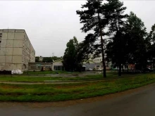 ветеринарная клиника Дружок в Артеме