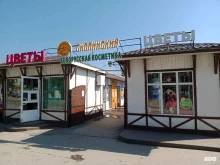 Скопинский мясокомбинат, улица Октябрьская, 29а ст3 