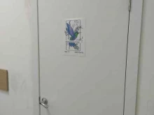 Услуги по уходу за ресницами / бровями Студия красоты в Казани