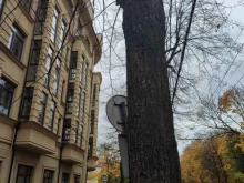 Станции зарядки мобильных телефонов Бери заряд! в Калининграде