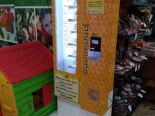 автомат по продаже меда Мед насущный в Туле