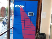 Постамат №4218 Ozon box в Тюмени