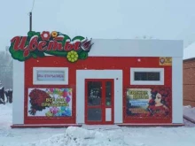 магазин Мимоза в Ленинске-Кузнецком