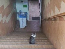 Фото на документы Дом быта в Реутове