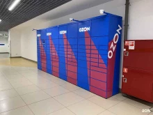 постамат №4105 Ozon box в Мурманске