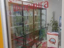 студия Экоэстетика в Химках