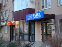 магазин рыбы и морепродуктов Шеф Порт в Краснодаре