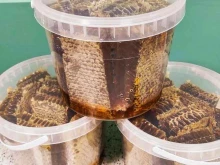 компания по продаже продуктов пчеловодства Пасека Широковских в Туле