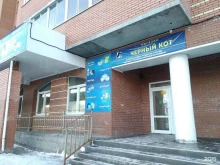 магазин Чёрный кот в Архангельске