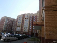 Маркетинговые / социологические исследования SeoOptim в Туле