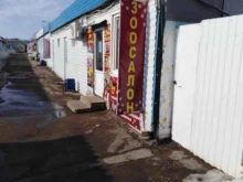 магазин товаров для животных Зоомания в Щекино