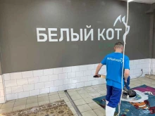 компания по стирке ковров Белый кот в Барнауле