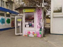 Цветы Магазин цветов в Волгограде