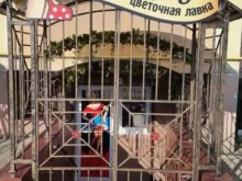 цветочная лавка Розамунда в Калининграде