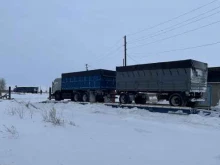 Зерно / Зерноотходы Колос Алтая в Барнауле