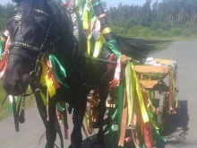 пони-клуб Royal Pony Family в Казани