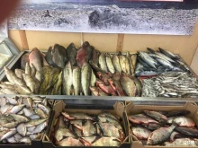 магазин рыбной продукции Мир морепродуктов в Вологде