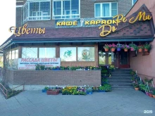 караоке-кафе Дореми в Москве