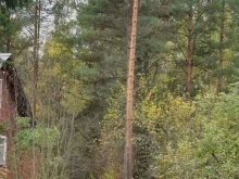 компания Мой лес 35 в Череповце