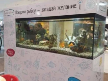 автомат по продаже магнитов Море желаний в Иркутске